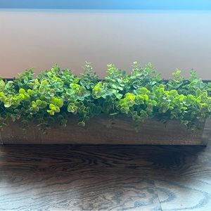 Tabletop greenery
